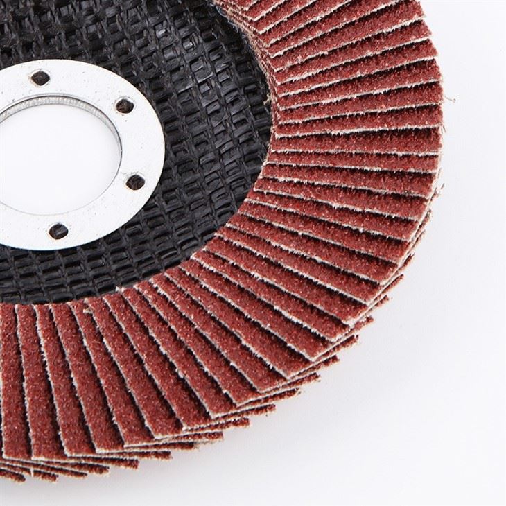 Single Row Diamond Concrete Grinding Disc